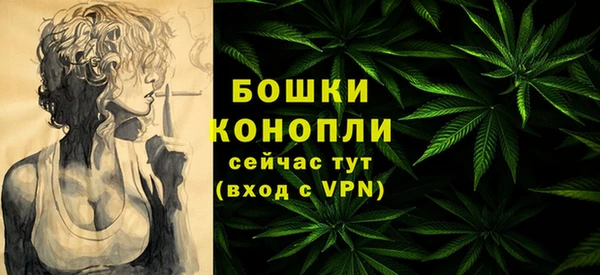 ГАЛЛЮЦИНОГЕННЫЕ ГРИБЫ Карпинск