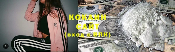 2c-b Каменка